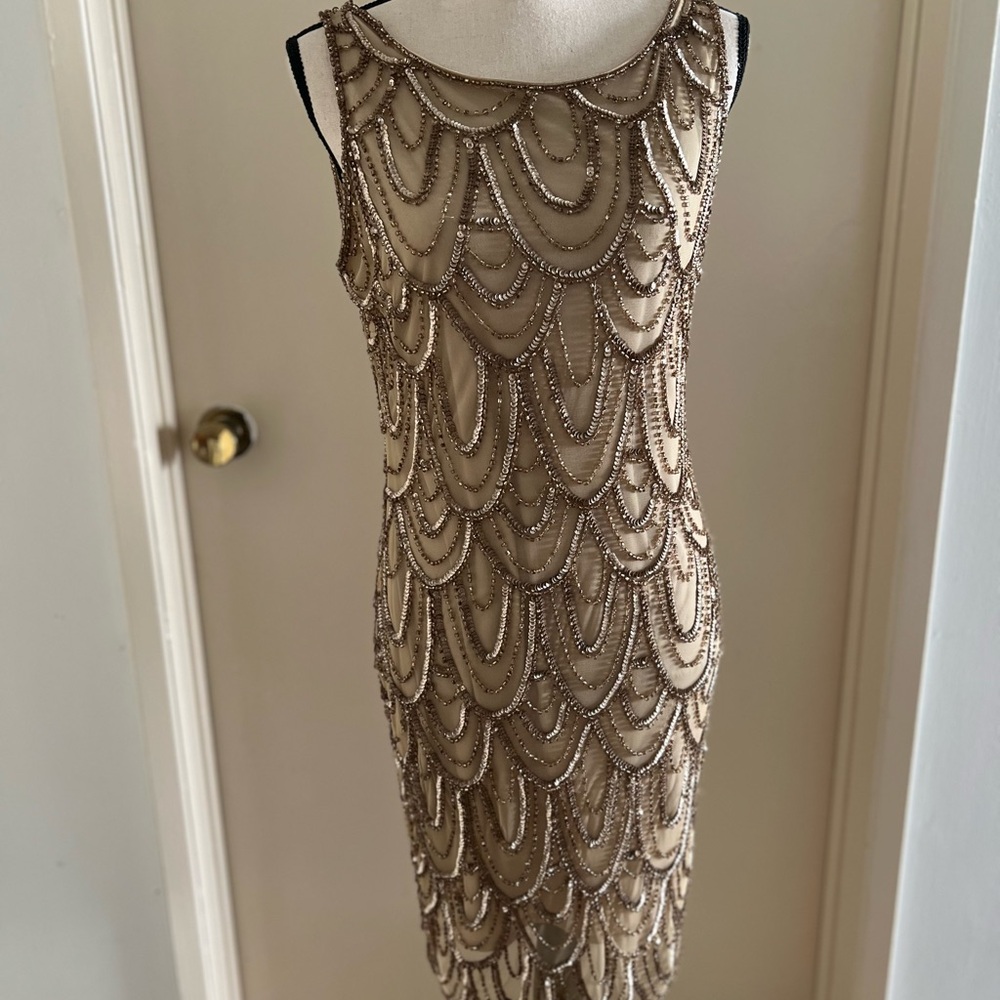 Pisarro Nights-Gold Embellished Mesh Seath Dress.